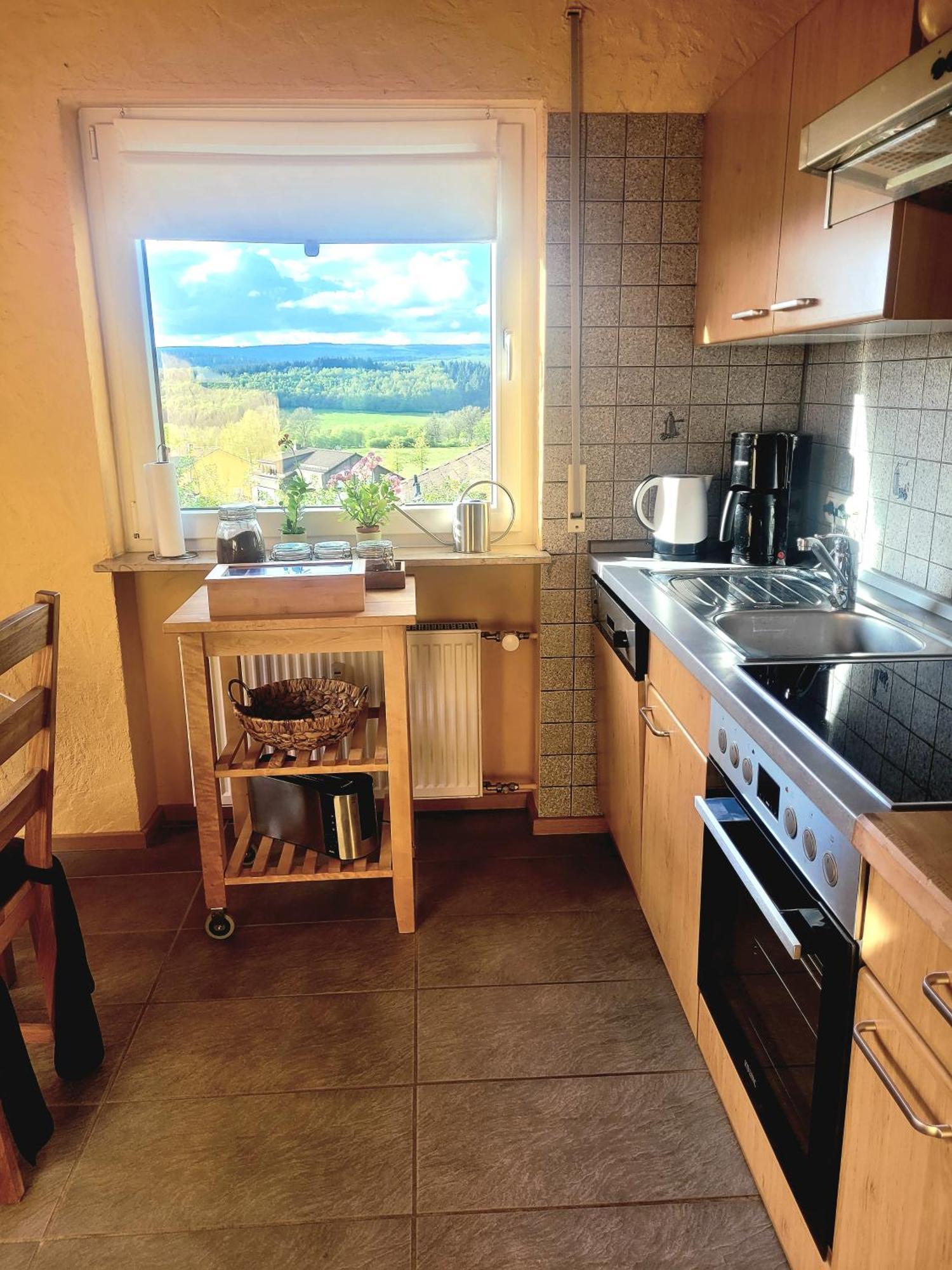 Ferienhaus Wilder Hunsrueck Schmissberg 외부 사진